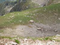 Youri - Ecrins 2005 361 